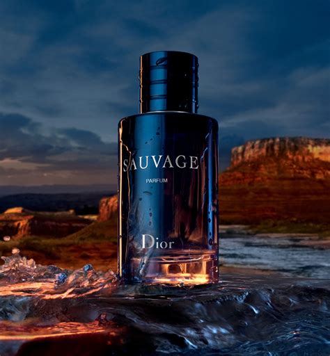 duftkerze dior sauvage|Dior cologne perfume.